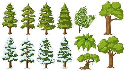Different types of trees