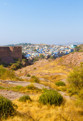 Fototapeta na wymiar Blue City and Mehrangarh Fort