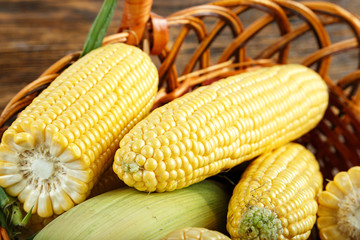 Fresh raw heads of corn in a basket, place for text