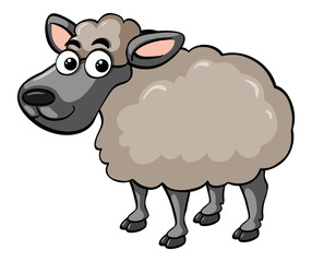 Cute sheep on white background