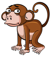 Brown monkey with sad face