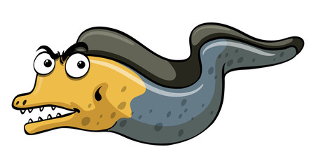 Eel on white background