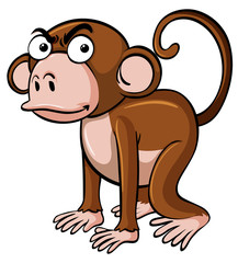Obraz premium Mad monkey on white background