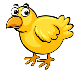 Little chick with happy face