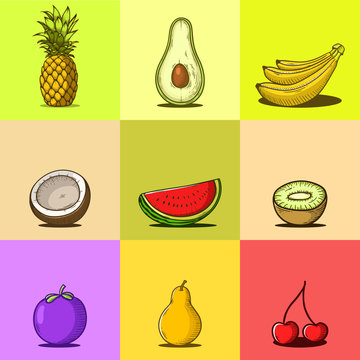 Set of Hand drawn Tropical fruits vector illustration
