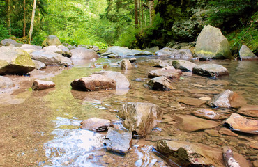 Mountain river with transparent water,stones,forest, ,summer