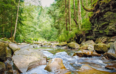 Mountain river.Clean clear water,stones,forest green,Carpathians