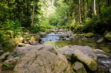 Beautiful mountain river flowing through the green forest.Carpathians