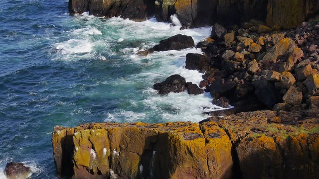  St Abb's Head National Nature Reserve on the Berwickshire coastline, Scotland, UK