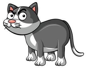 Angry cat on white background