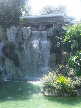 Jardin botanique Deshaies