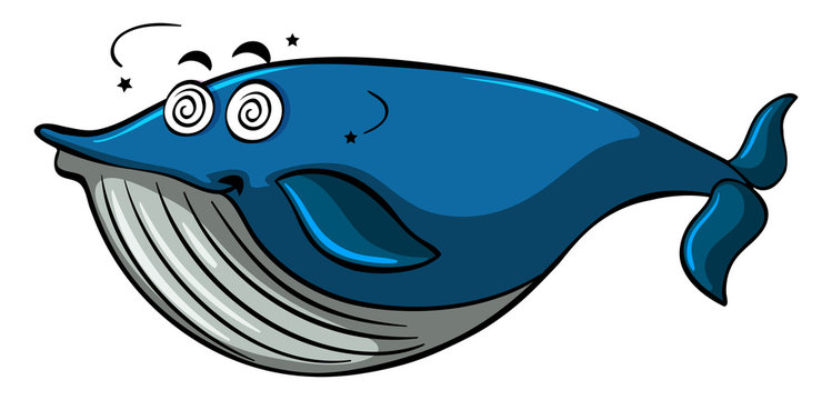 Whale with dizzy face