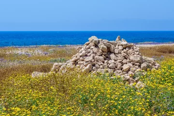 Fotobehang Heap of stones on spring meadow in Paphos Archeological park © Lookinout