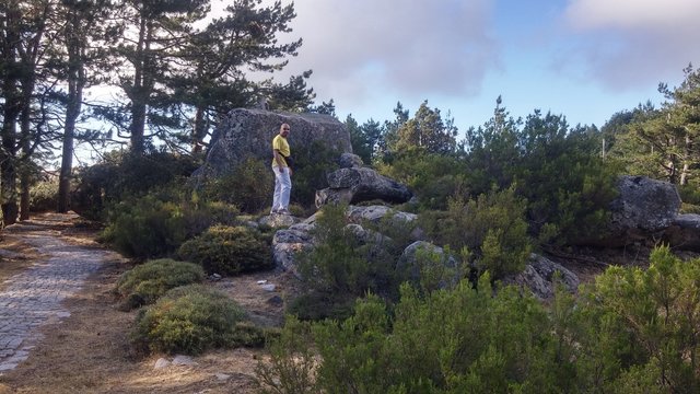 Mont limbara, tempio pausania, sardaigne, italie, mont, montagne, foret, roche