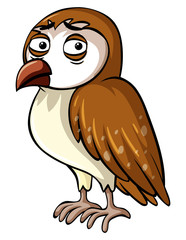 Wild owl with sad face