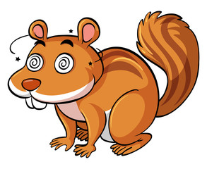 Obraz premium Squirrel looks dizzy on white background