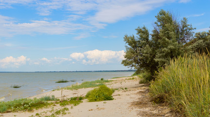 Fototapeta na wymiar Sea landscape. Terrain on the coast of the Azov Sea in the Rostov region