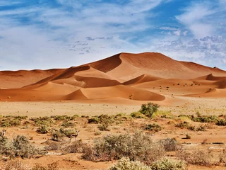 Vlies Fototapete Dürre Wüste der Namib mit orangefarbenen Dünen