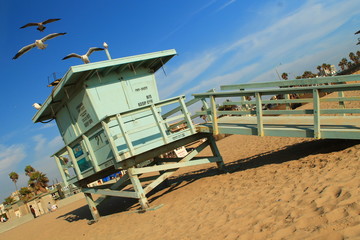 Lifeguard 