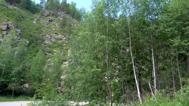 Panoramic view of mountains and forest. Real time video