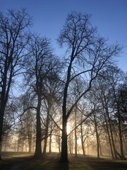 Château de Versailles