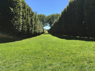 Château de Versailles
