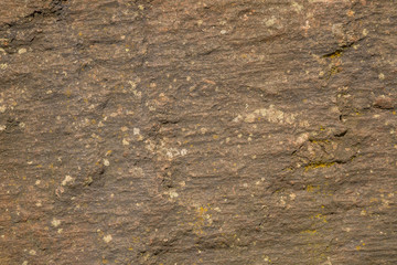 Stone Texture