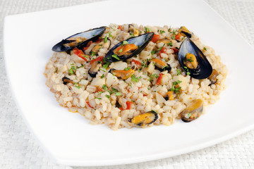 Mixed cereals and mussels, with tomato sauce and topinambur