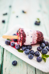 Homemade blueberry ice cream. 