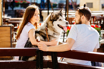 Family, pet, animal and people concept - Cheerful friendly picture of lovely hipster couple with their dog, funny alaskan malamute, sitting on the bench in summer, outdoor