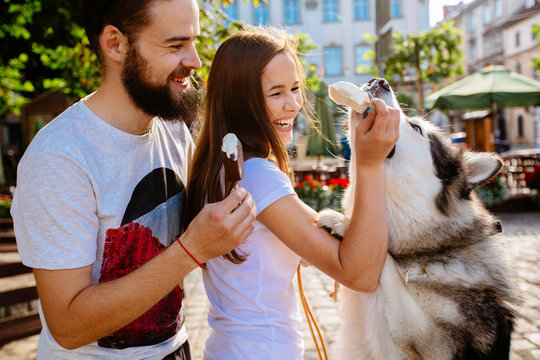 Family, pet, animal and people concept - Cheerful friendly picture of lovely hipster couple and funny malamute dog licking ice cream and standing on hind legs