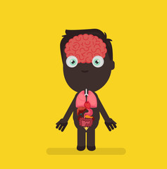 Human body anatomy vector illustration