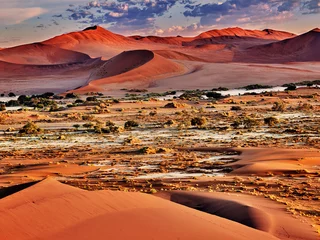 Foto auf Alu-Dibond Wüste der Namib mit orangefarbenen Dünen © the_lightwriter