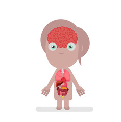 Human body anatomy vector illustration