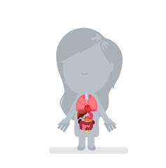 Human body anatomy vector illustration