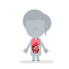 Human body anatomy vector illustration