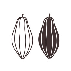 Cocoa Outline. Isolated cocoa on white background
