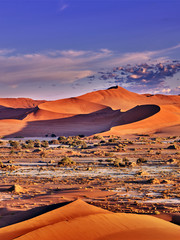 Wüste der Namib mit orangefarbenen Dünen