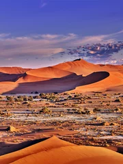 Fototapete Dürre Wüste der Namib mit orangefarbenen Dünen