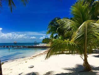 Isla mujeres Mexique 