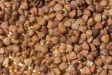 Buckwheat grains/ Buckwheat grains