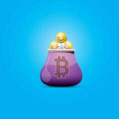 vector bitcoin wallet icon with coins