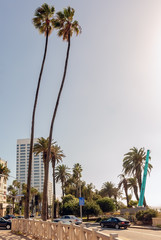 View of Ocean Avenue in Santa Monica, California