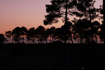 France gujan mestras