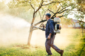 Industrial farmer using machine sprayer for organic pesticide distribution in fruit orchard