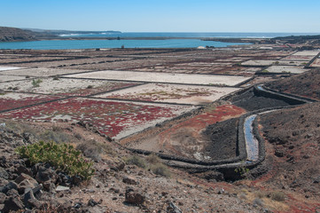 Geometric salt pan on the coast of Lanzarote, Canary Islands