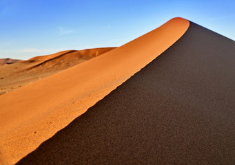 Fototapeta na wymiar desert of namib with orange dunes