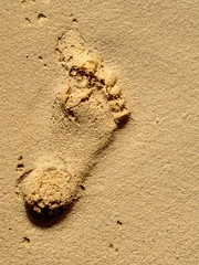 sable plage pied empreinte mer orteil pas 