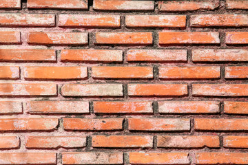 Brick wall
