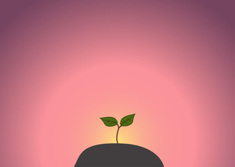 Young green sprout against the background of the sunrise